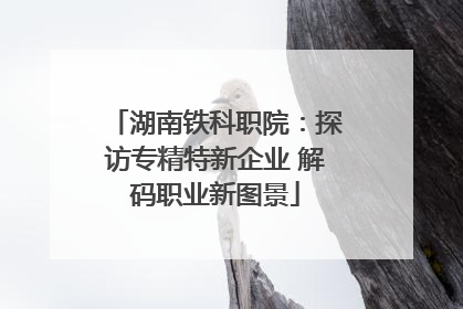 湖南铁科职院：探访专精特新企业 解码职业新图景